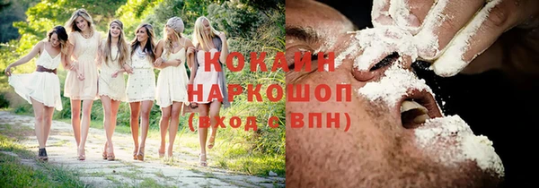 дживик Арсеньев