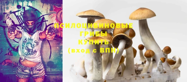 дживик Арсеньев