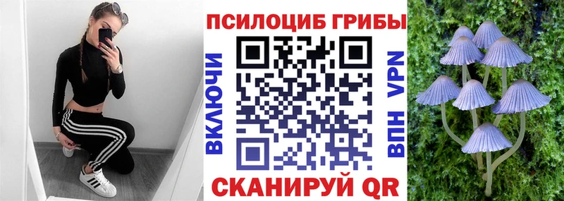 Галлюциногенные грибы MAGIC MUSHROOMS  Саянск 